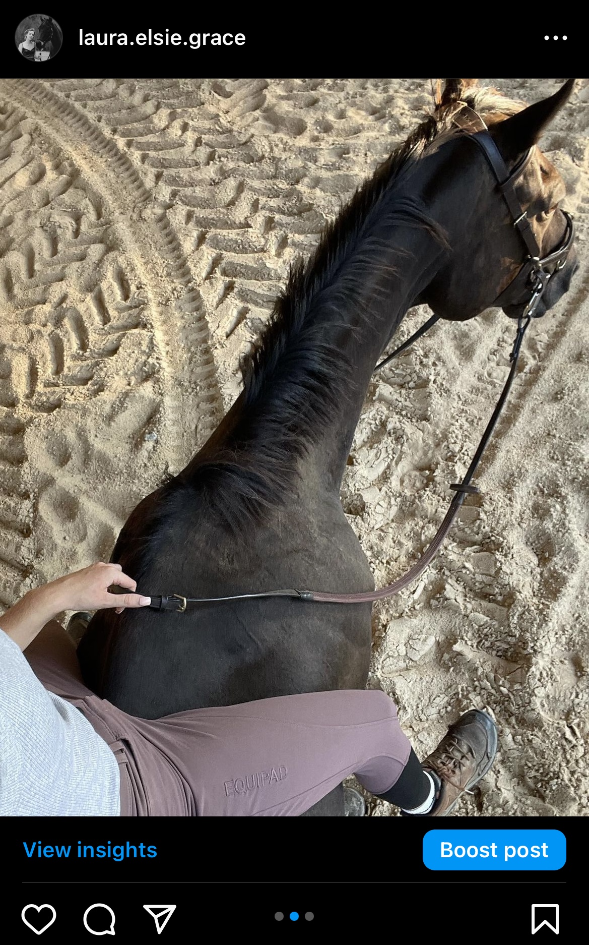 captions-for-instagram-post-with-horse