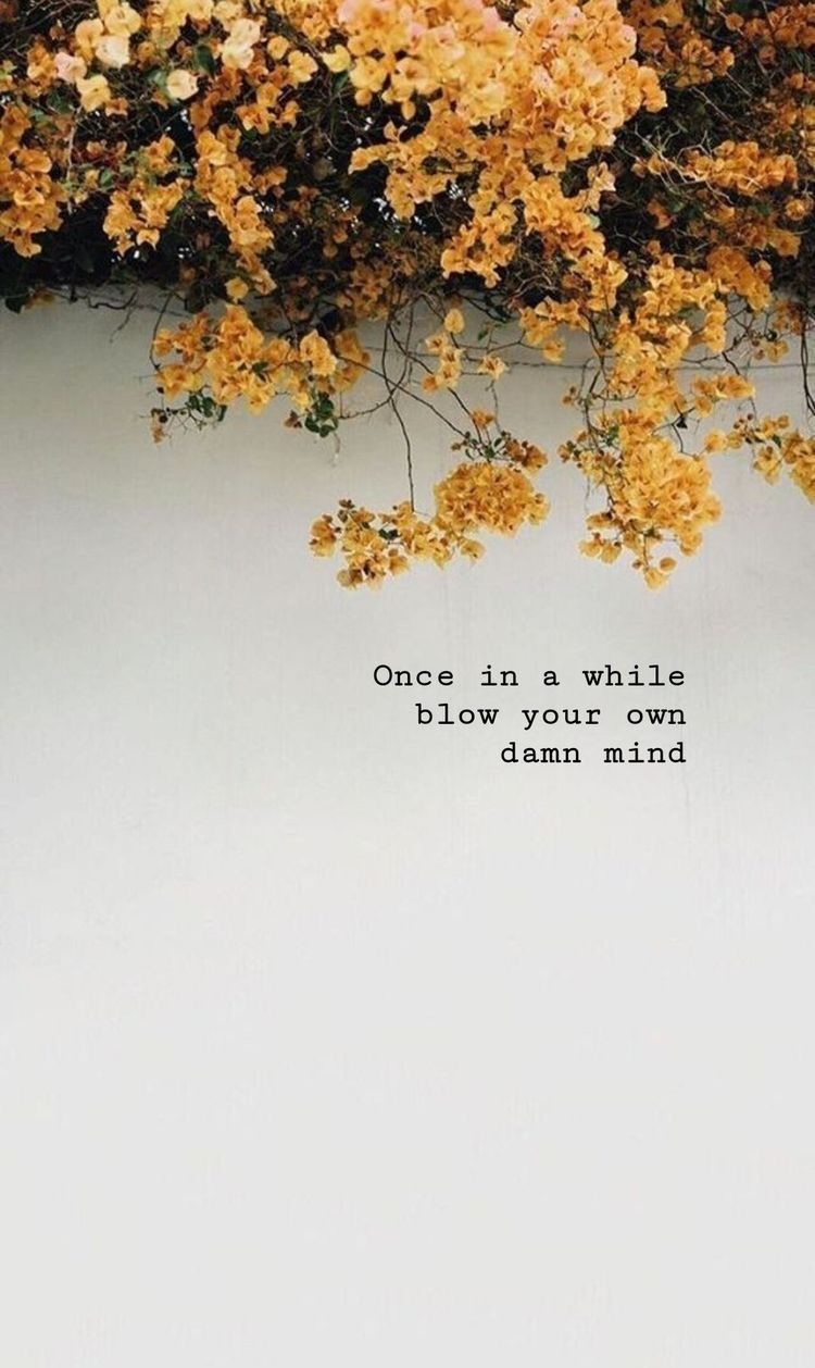 dead-flower-captions-for-instagram