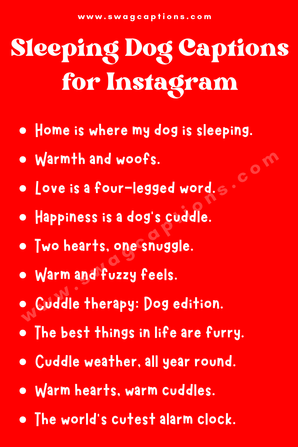dog-sleeping-captions-for-instagram