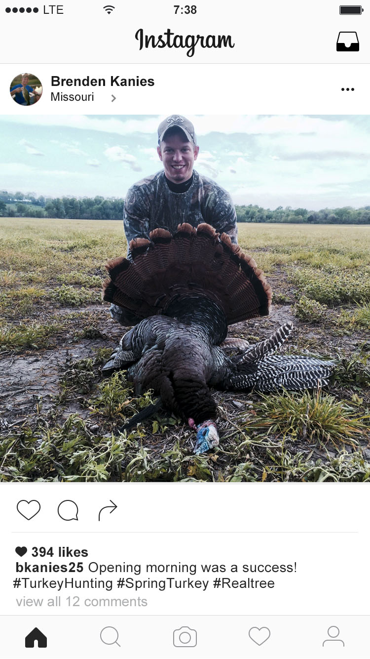 dove-hunting-captions-for-instagram