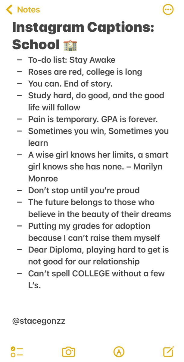 field-trip-captions-for-instagram