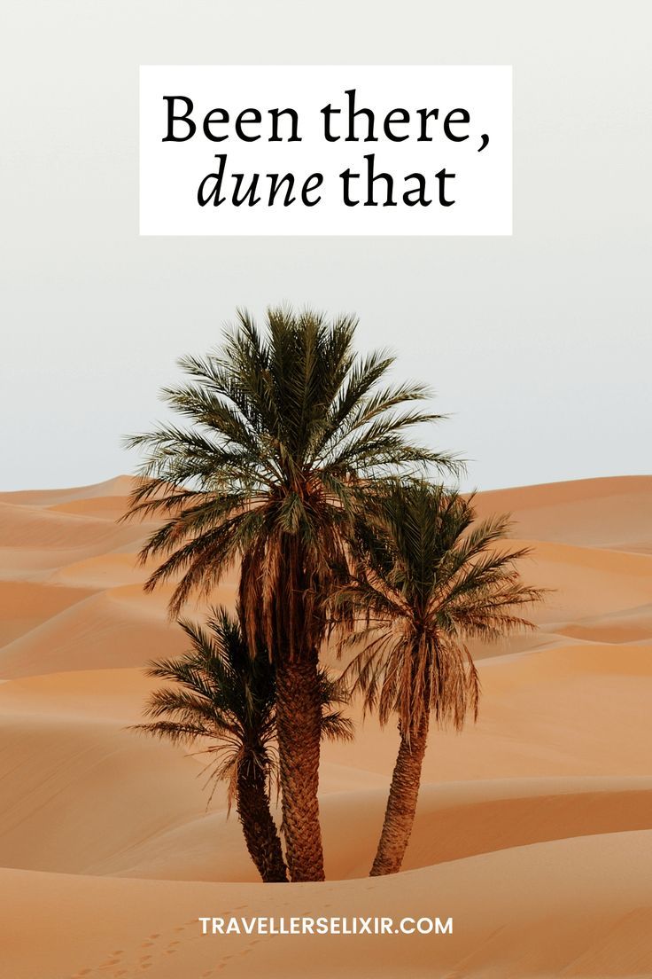 funny-desert-captions-for-instagram