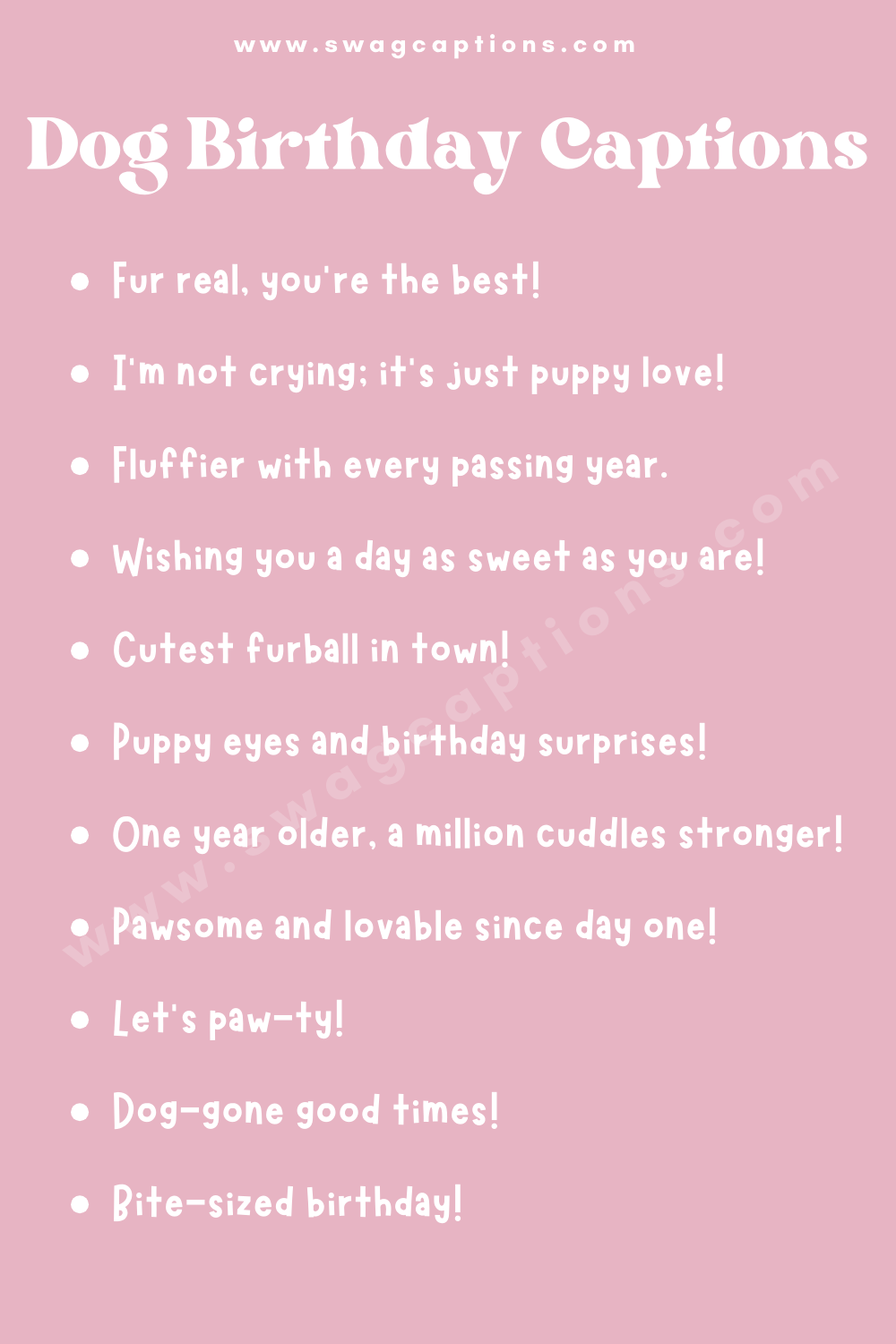 funny-dog-birthday-instagram-captions