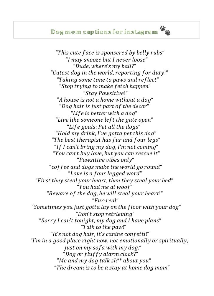 funny-dog-mom-captions-for-instagram