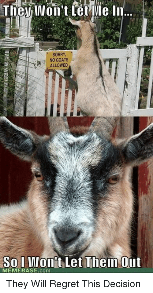 funny-goat-captions-for-instagram