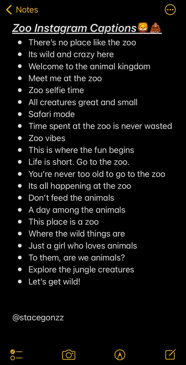 funny-jungle-captions-for-instagram