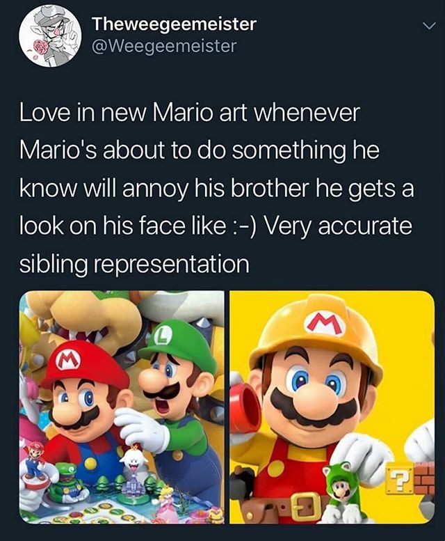 mario-and-luigi-instagram-captions