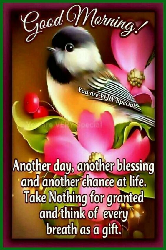 another-morning-another-day-quotes