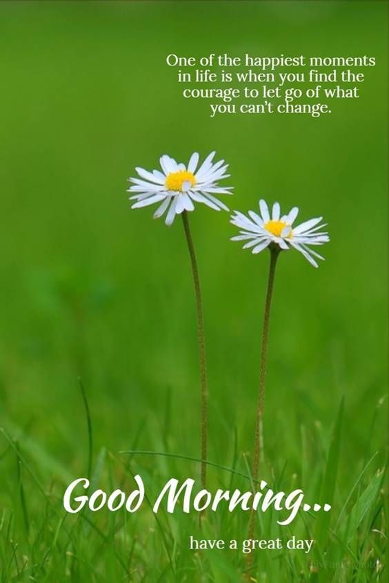 beautiful-morning-quotes-for-friends