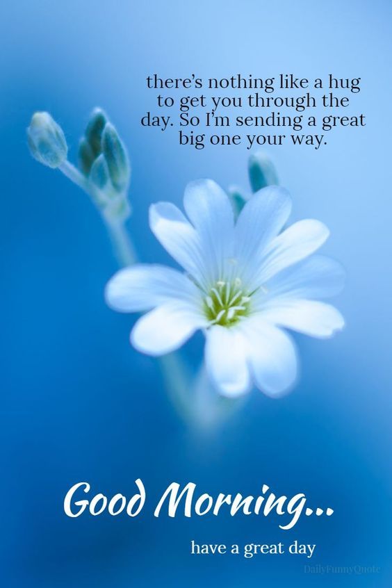 beautiful-morning-quotes-for-the-day