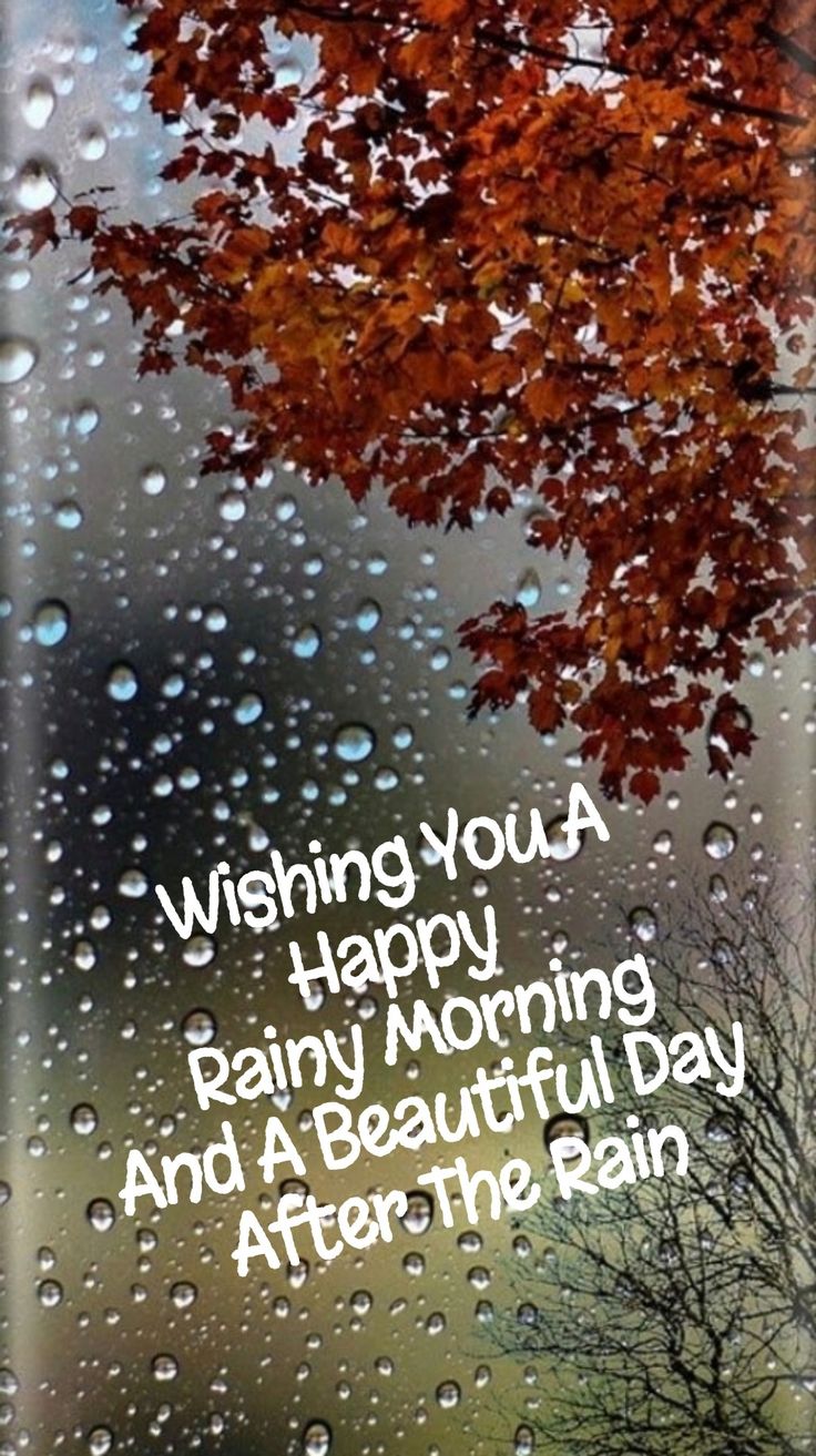 beautiful-rainy-good-morning-quotes