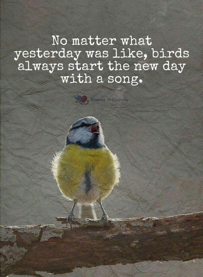 birds-singing-in-the-morning-quotes