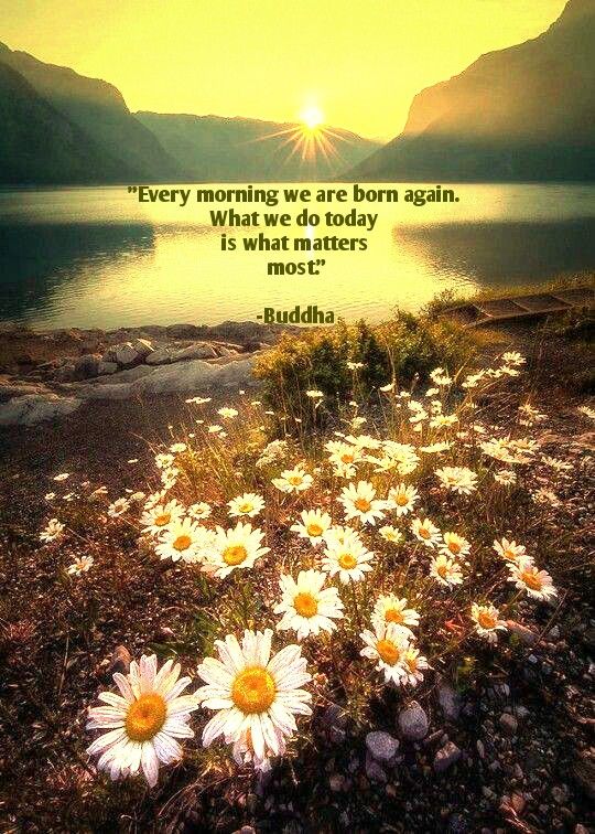 every-morning-we-are-born-again-quotes