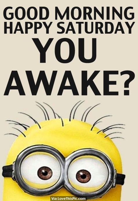 funny-saturday-good-morning-quotes