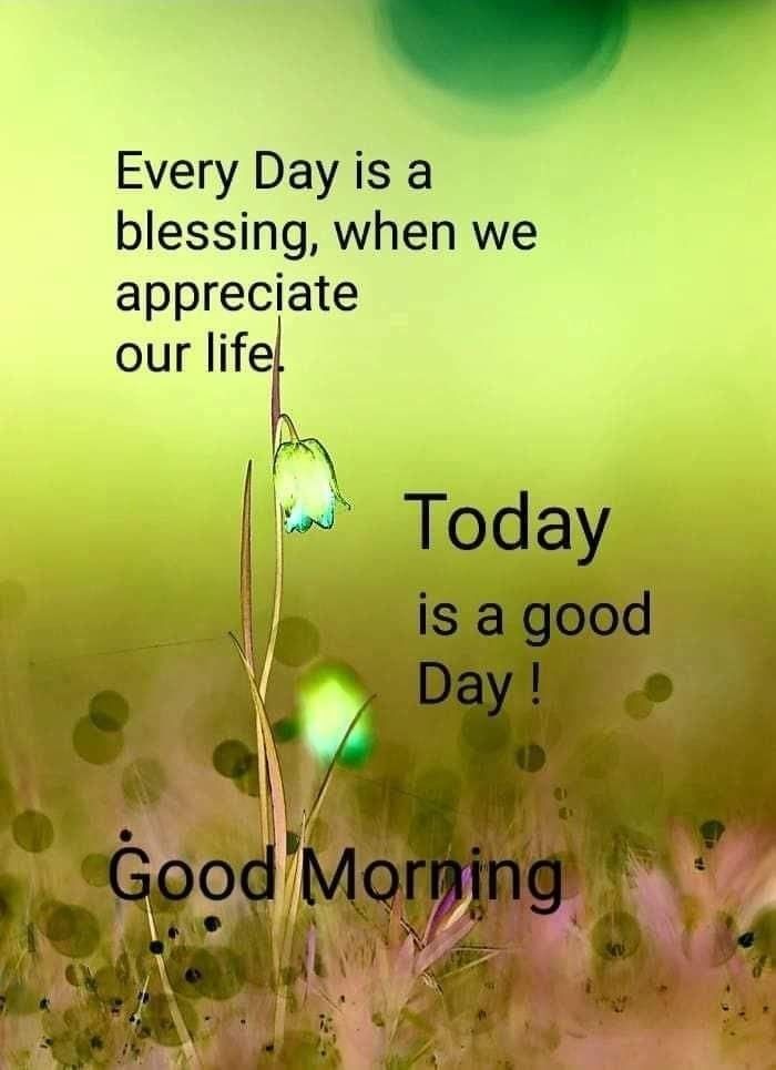 good-morning-appreciate-life-quotes
