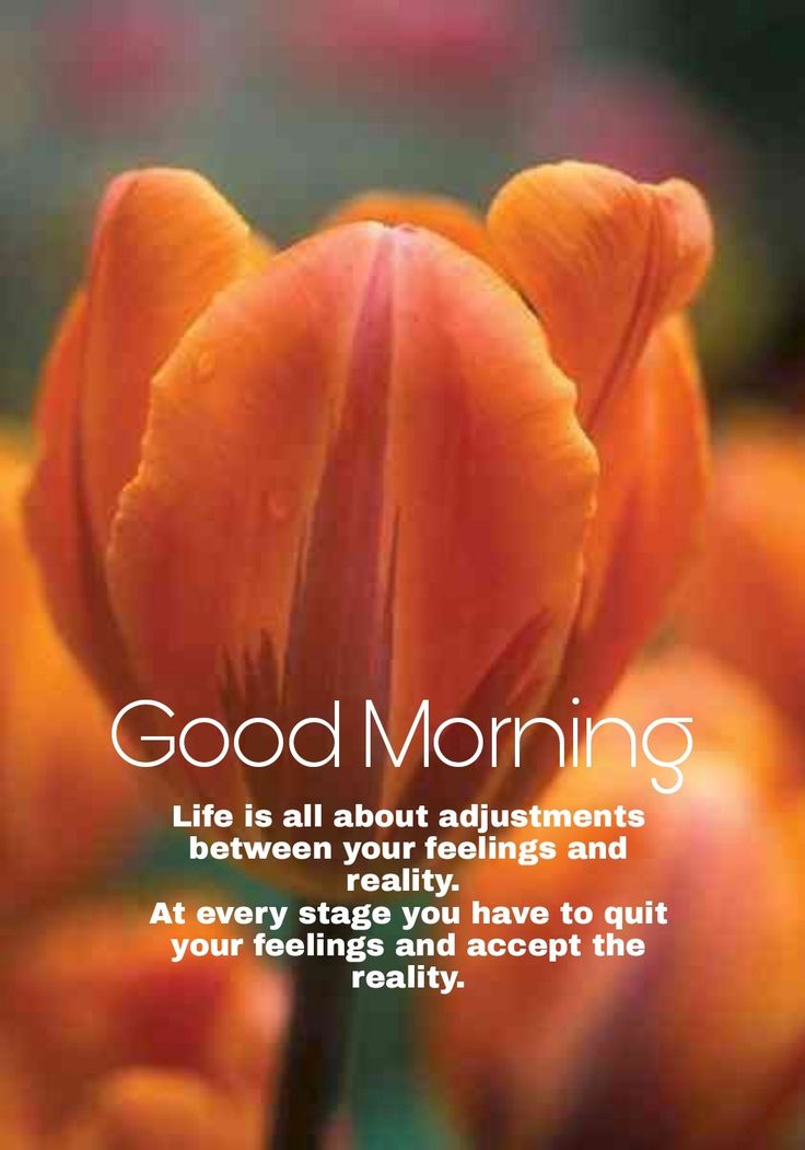 good-morning-cheer-up-quotes