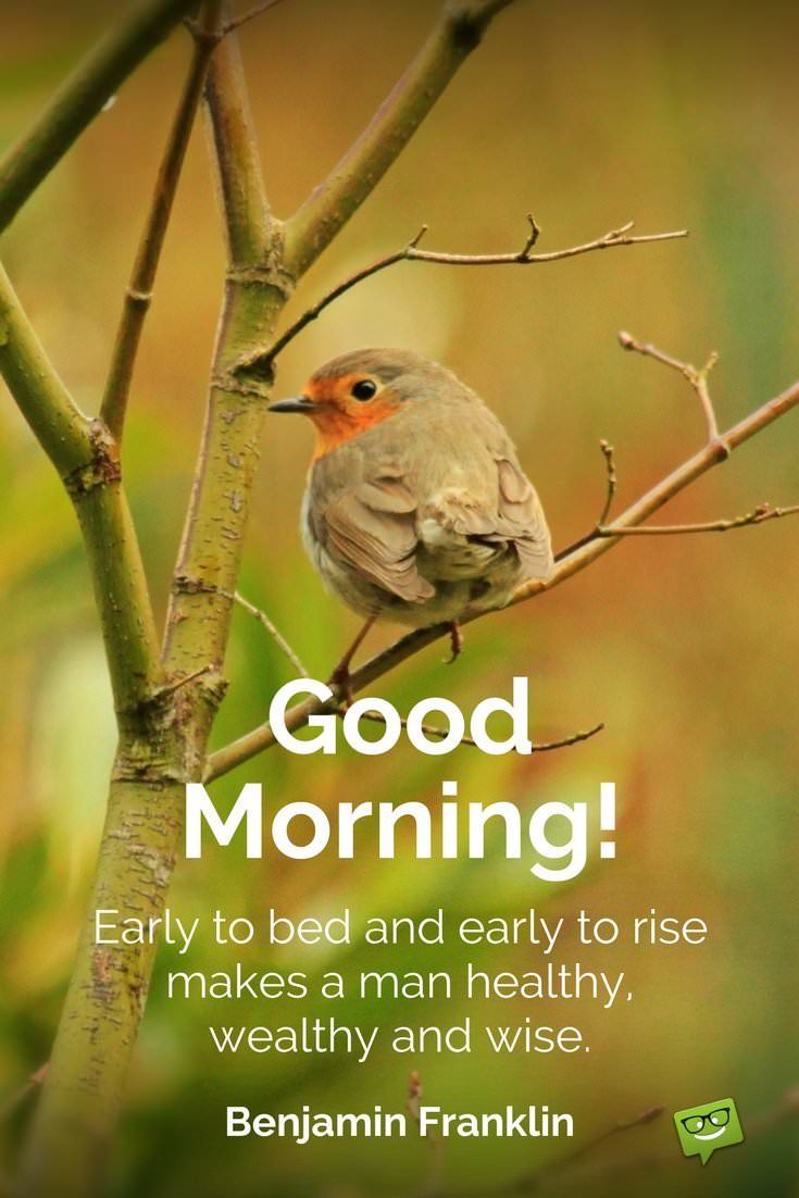 good-morning-early-bird-quotes