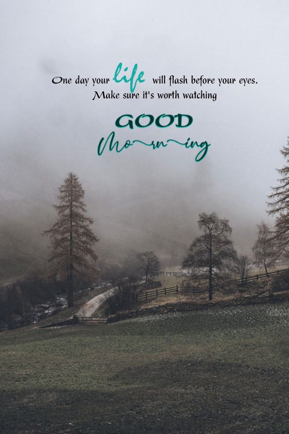 good-morning-foggy-day-quotes