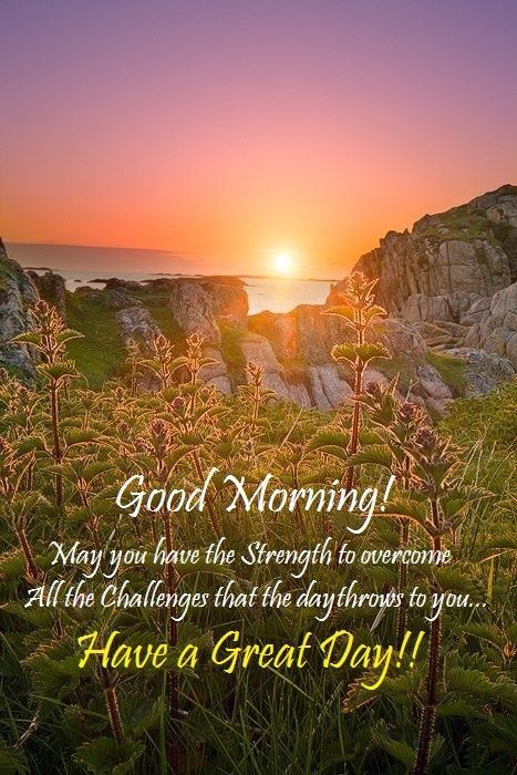 good-morning-have-a-good-day-quotes