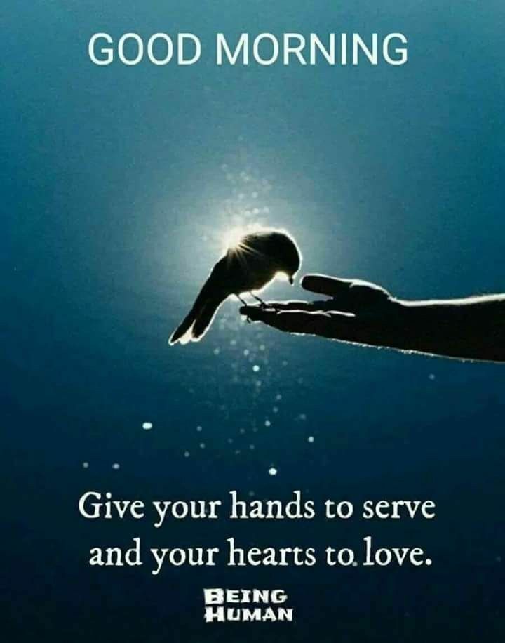 good-morning-human-being-quotes