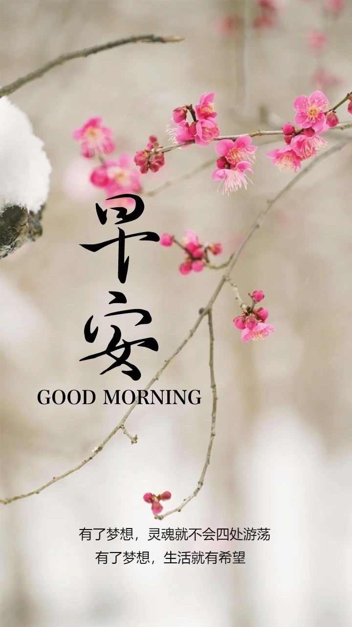 good-morning-in-chinese-quotes