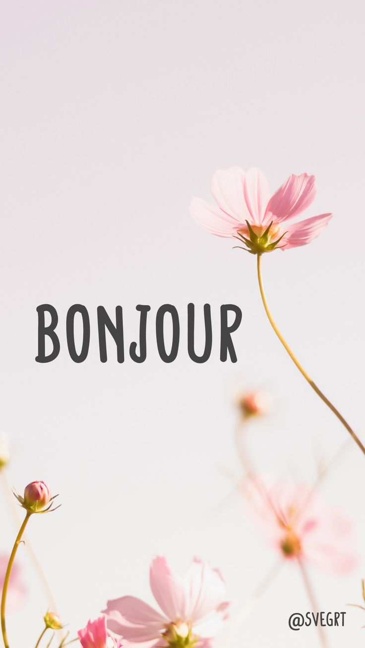 good-morning-love-quotes-in-french