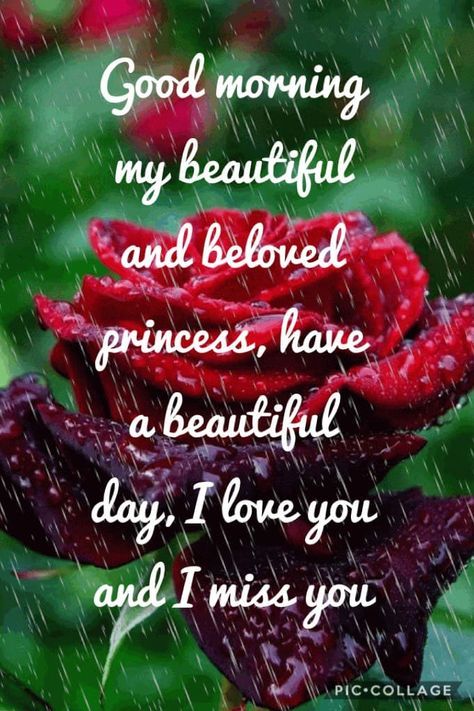 good-morning-my-gorgeous-wife-quotes