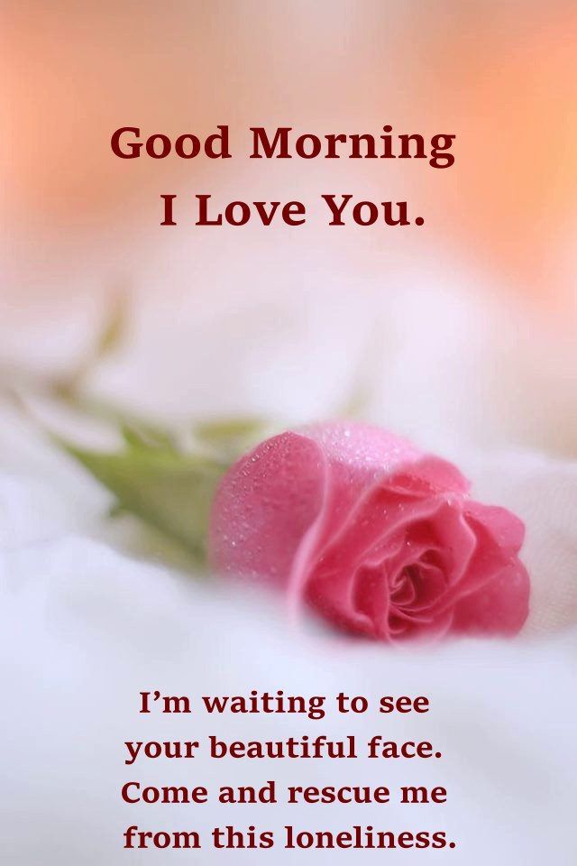 good-morning-quotes-for-beloved