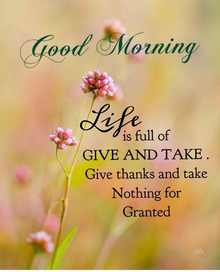 good-morning-quotes-for-flowers