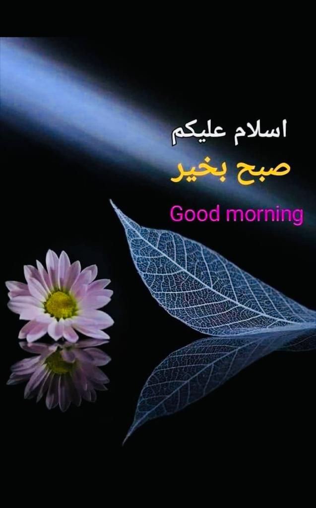 good-morning-quotes-in-arabic-and-english