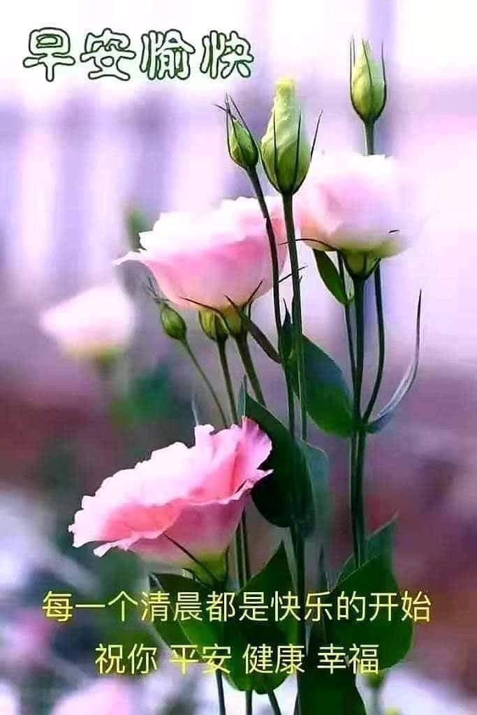 good-morning-quotes-in-korean