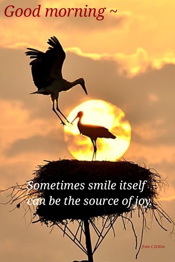 good-morning-quotes-one-liner