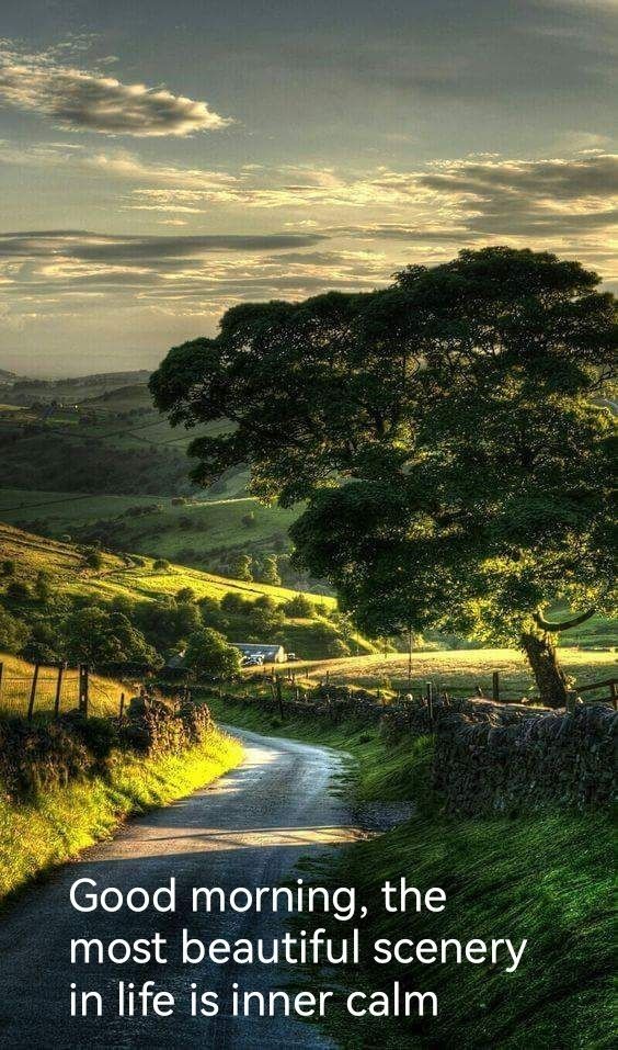 good-morning-quotes-with-beautiful-scenery
