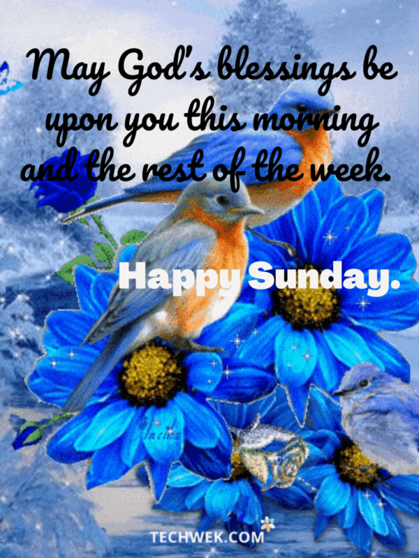 good-morning-sunday-quotes-gif