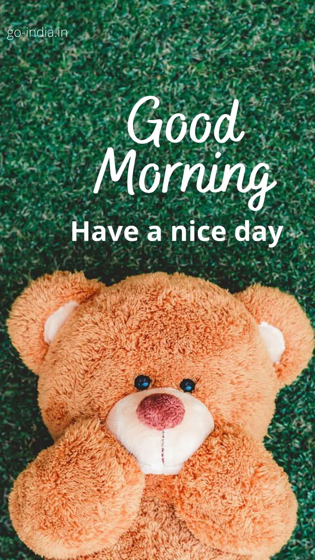 good-morning-teddy-bear-quotes