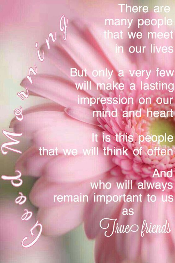 good-morning-true-friendship-quotes