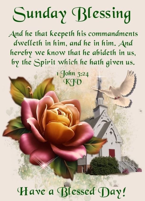 have-a-blessed-sunday-morning-quotes