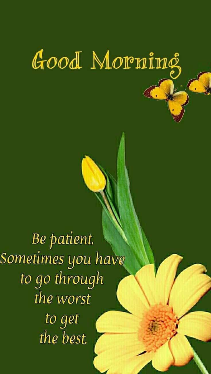 inspirational-positive-happy-good-morning-quotes