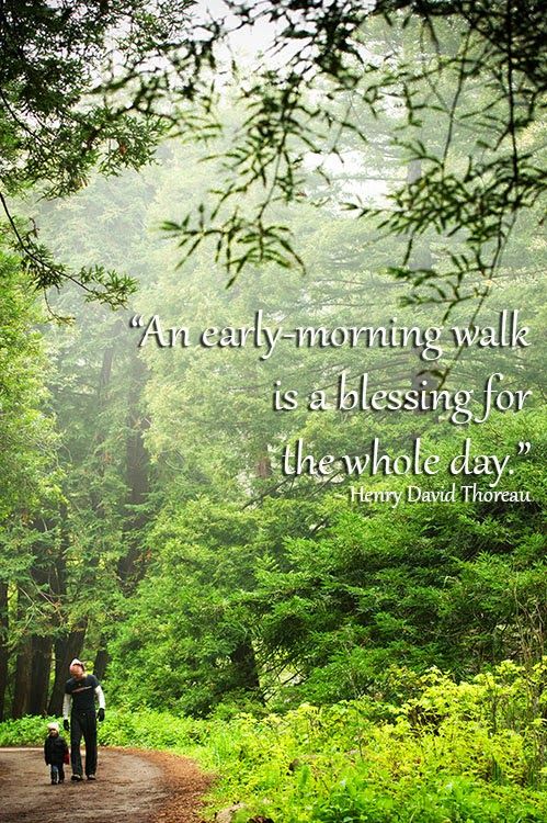 morning-walk-in-nature-quotes