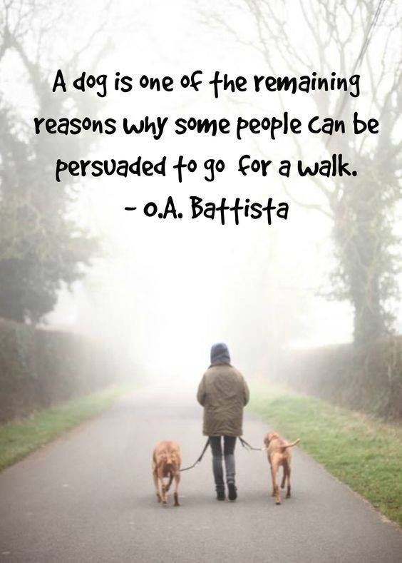 morning-walk-with-dog-quotes