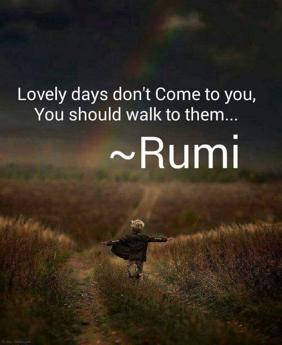 morning-walk-with-family-quotes