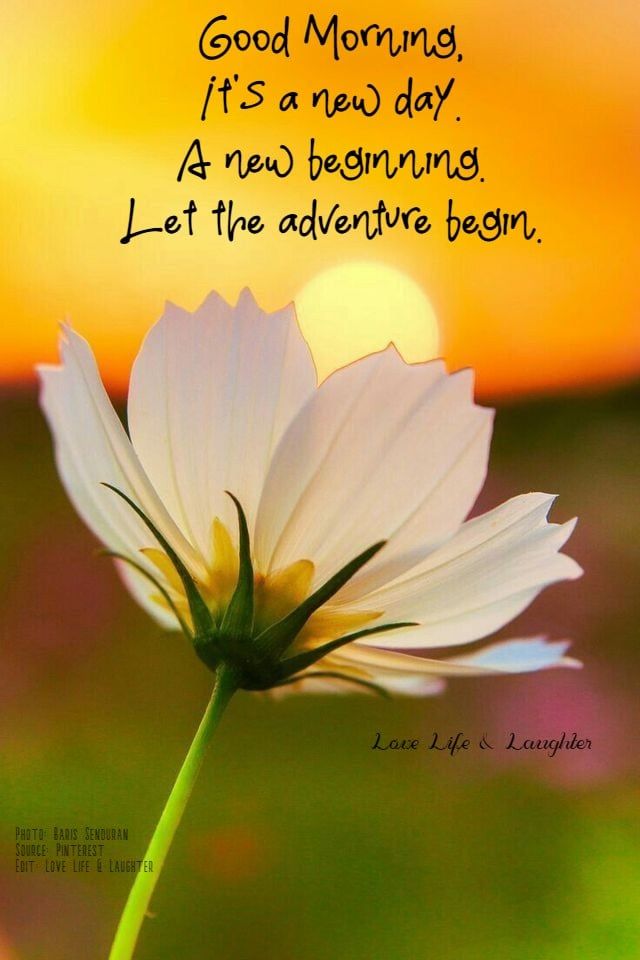 new-beginning-good-morning-quotes