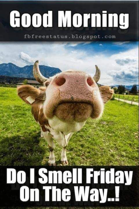 thursday-morning-thursday-quotes-funny