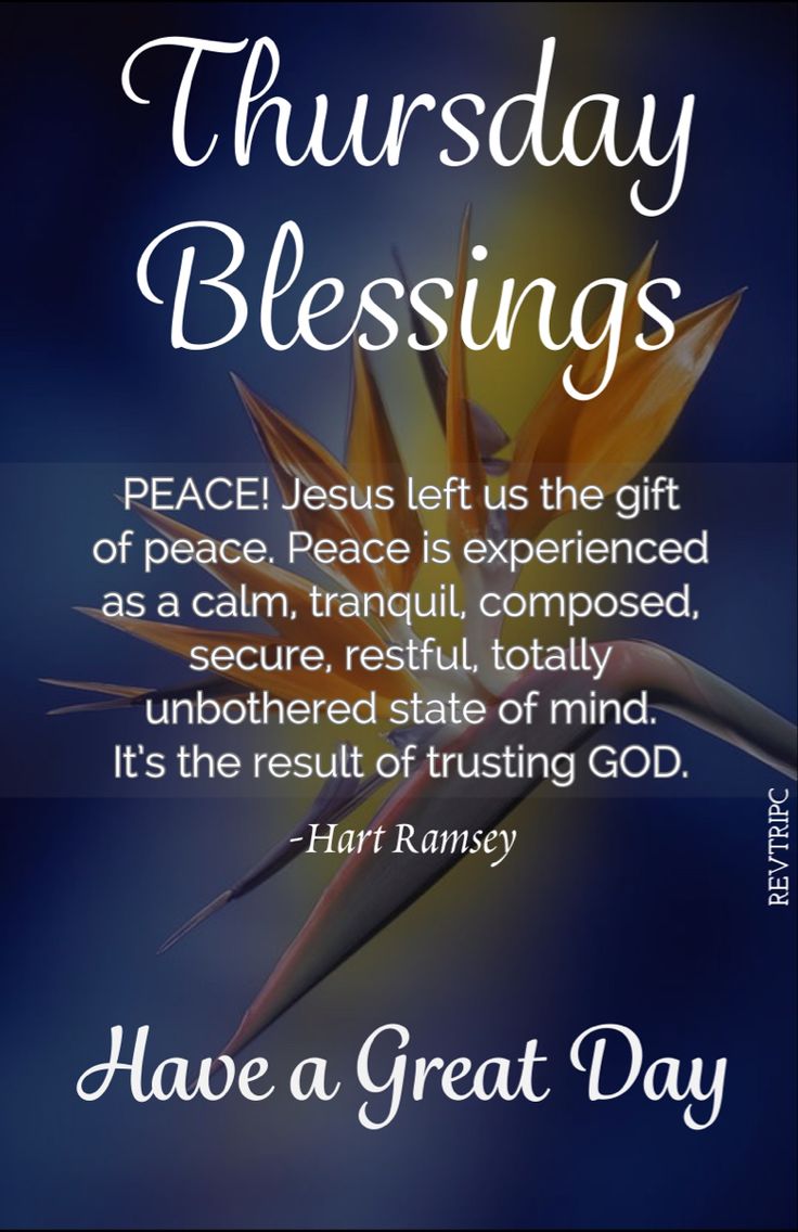 wisdom-good-morning-thursday-inspirational-quotes