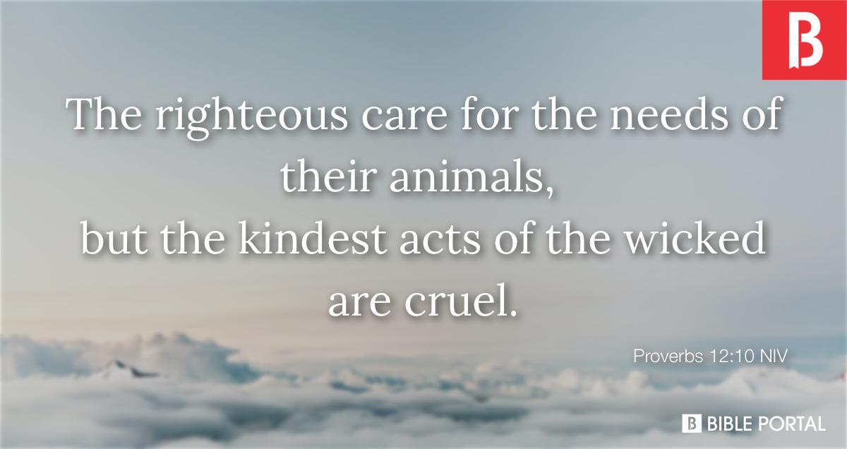 bible-quotes-about-animal-testing