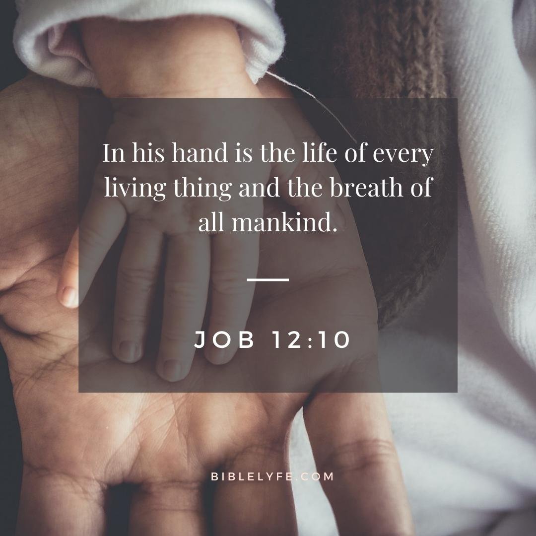 bible-quotes-about-god-being-in-control