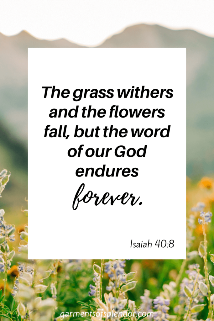bible-quotes-about-plants-and-flowers