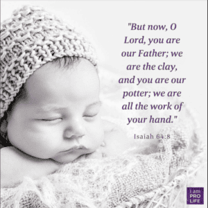 bible-quotes-about-pro-life