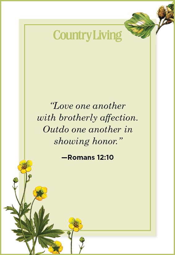 bible-quotes-for-love-and-friendship