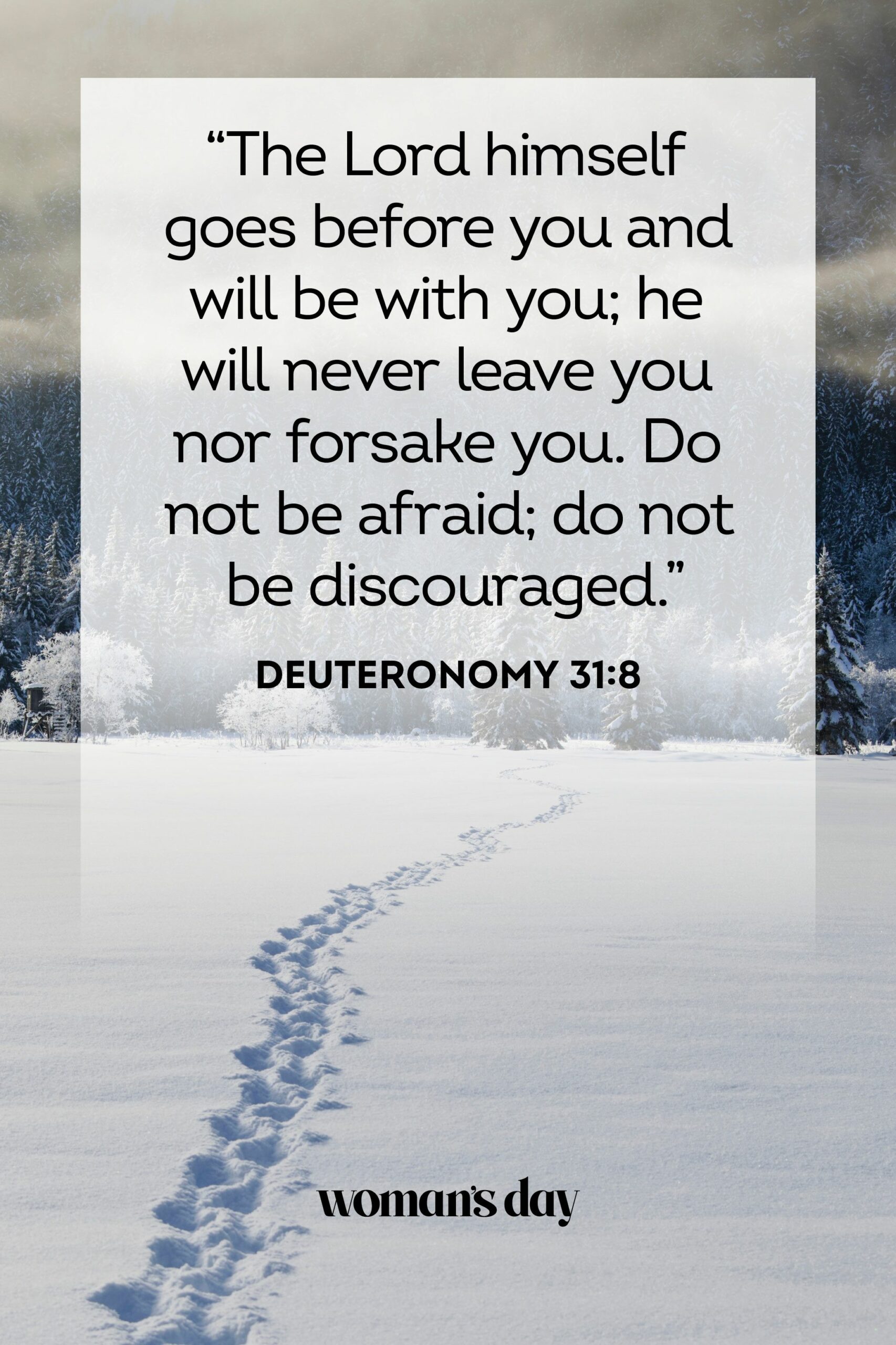 bible-quotes-for-sad-times